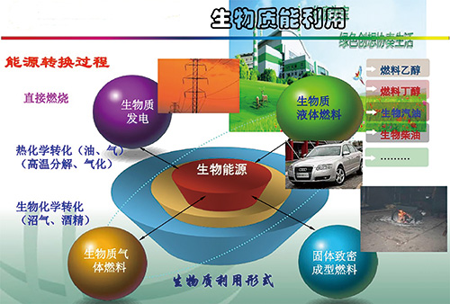 带你全面了解生物质发电《绿色中国》文摘-绿色中国网